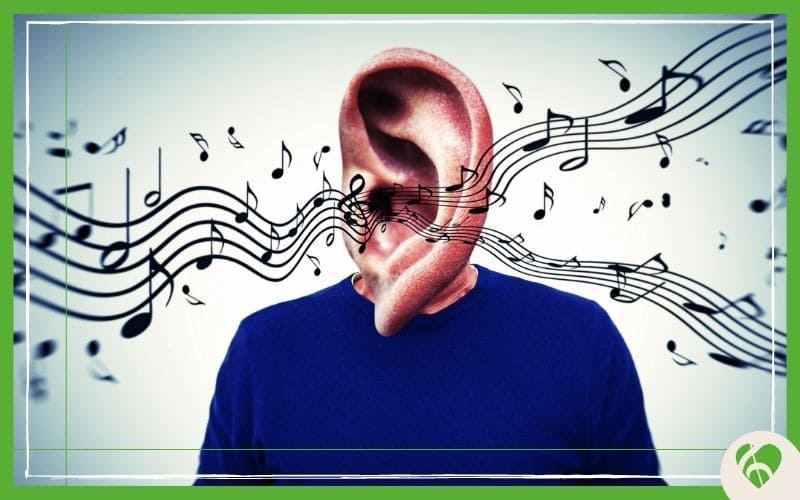 Tipos de ouvido